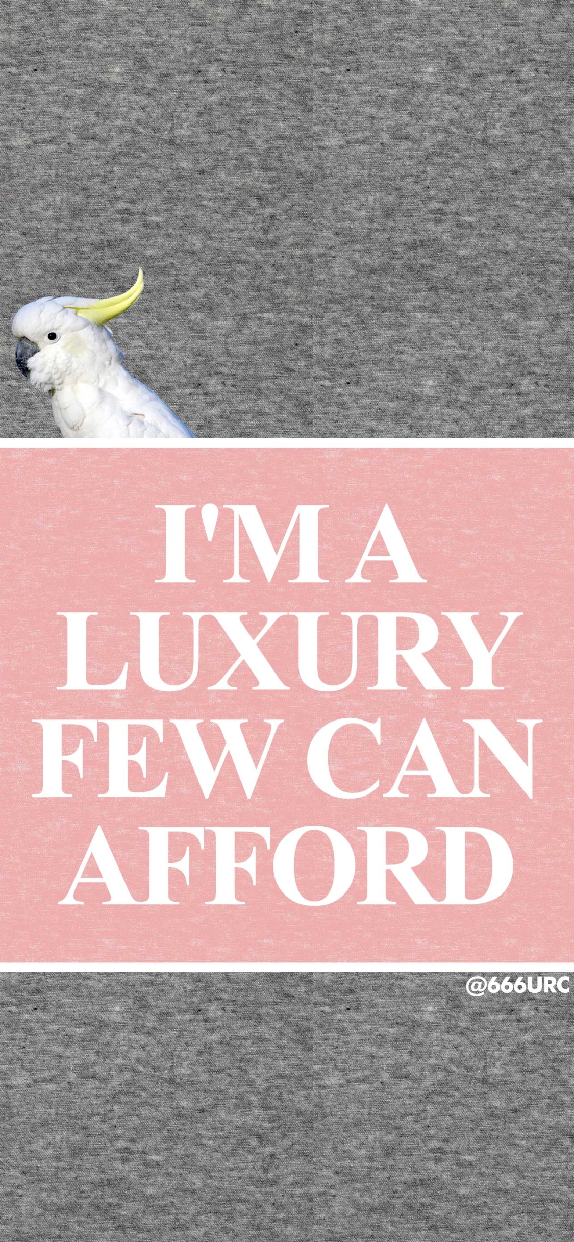 phone wallpaper displaying i'm a luxury few can afford